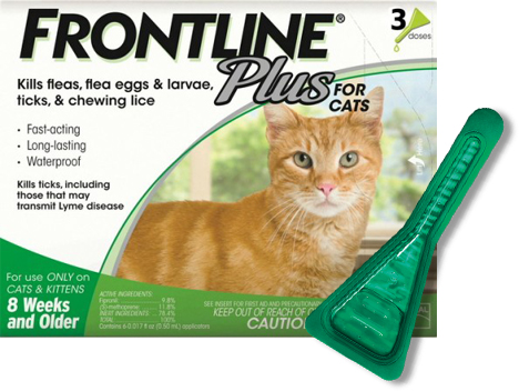 frontline cats