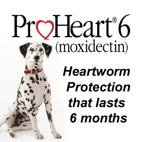 proheart6months